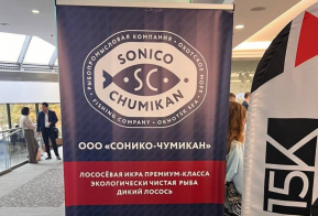 Совместные с КНР масштабные проекты Хабаровского края презентовали участникам XII Форума 