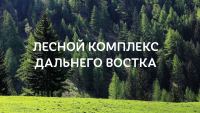 Перейти к новости Председатель Союза промышленников, предпринимателей и работодателей Амурской области Валерий Паршинков о возможностях регионального экспорта лесоматериалов